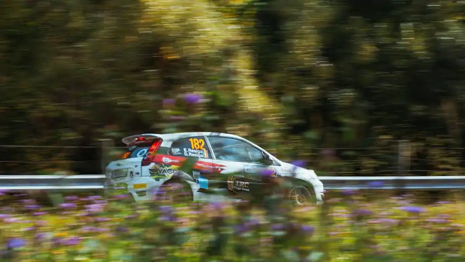 Cover image for Exploring the Thrill of Car Rally Events